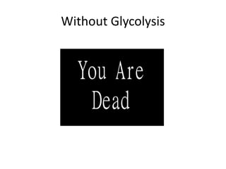 Without Glycolysis
 