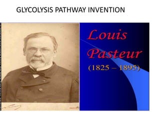 GLYCOLYSIS PATHWAY INVENTION
 