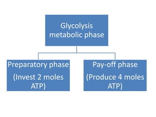 Glycolysis
metabolic phase
Preparatory phase
(Invest 2 moles
ATP)
Pay-off phase
(Produce 4 moles
ATP)
 