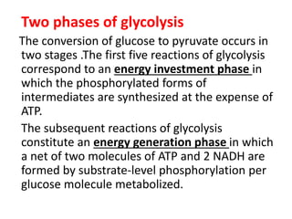 Two phases of glycolysis
The conversion of glucose to pyruvate occurs in
two stages .The first five reactions of glycolysis
correspond to an energy investment phase in
which the phosphorylated forms of
intermediates are synthesized at the expense of
ATP.
The subsequent reactions of glycolysis
constitute an energy generation phase in which
a net of two molecules of ATP and 2 NADH are
formed by substrate-level phosphorylation per
glucose molecule metabolized.
 