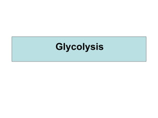 Glycolysis 