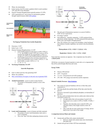 Where: the mitochondria
In this reaction, the ETS creates a gradient which is used to produce
ATP, quite like in the chloroplast
Electron Transport Phosphorylation typically produces 32 ATP's
ATP is generated as H+ moves down its concentration gradient
through a special enzyme called ATP synthase




                                                                                   The only goal of fermentation reactions is to convert NADH to
                                                                                   NAD+ (to use in glycolysis).
                                                                                   No energy is gained
                                                                                   Note differences - anaerobic respiration - 2 ATP's produced (from
                                                                                   glycolysis), aerobic respiration - 36 ATP's produced (from glycolysis,
                                                                                   Krebs cycle, and Oxidative Phosphorylation)
  Net Engergy Production from Aerobic Respiration                                  Thus, the evolution of an oxygen-rich atmosphere, which facilitated
                                                                                   the evolution of aerobic respiration, was crucial in the diversification
                                                                                   of life
Glycolysis: 2 ATP
Krebs Cycle: 2 ATP
                                                                                      Photosynthesis: 6 CO2 + 6 H2O >> C6H12O6 + 6 O2
Electron Transport Phosphorylation: 32 ATP
      o Each NADH produced in Glycolysis is worth 2 ATP (2 x
           2 = 4) - the NADH is worth 3 ATP, but it costs an ATP to                     Respiration: C6H12O6 + 6 O2 >> 6 CO2 + 6 H2O
           transport the NADH into the mitochondria, so there is a
           net gain of 2 ATP for each NADH produced in gylcolysis
                                                                        Notice that these reactions are opposites - this is important since the earth is
      o Each NADH produced in the conversion of pyruvate to             a closed system
           acetyl COA and Krebs Cycle is worth 3 ATP (8 x 3 = 24)
      o Each FADH2 is worth 2 ATP (2 x 2 = 4)
      o 4 + 24 + 4 = 32                                                 All life has a set amount of natural materials to work with, so it is important that
                                                                        they all be cycled through effectively and evenly
Net Energy Production: 36 ATP!

                                                                        Energy Yields:
                 Anaerobic Respiration

                                                                                   Glucose: 686 kcal/mol
Goal: to reduce pyruvate, thus generating NAD+
                                                                                   ATP: 7.5 kcal/mol
Where: the cytoplasm
                                                                                   7.5 x 36 = 270 kcal/mol for all ATP's produced
Why: in the absence of oxygen, it is the only way to generate NAD+
                                                                                   270 / 686 = 39% energy recovered from aerobic respiration

Alcohol Fermentation - occurs in yeasts in many bacteria                Related Catabolic Processes - Beta Oxidation
     o The product of fermentation, alcohol, is toxic to the
          organism
                                                                                   Fats consist of a glycerol backbone with two or three fatty acids
                                                                                   connected to it
                                                                                   The body absorbs fats and then breaks off the fatty acids from the
                                                                                   glycerol
                                                                                   Glycerol is converted to glyceraldehyde phosphate, an intermediate of
                                                                                   glycolysis
                                                                                   The fatty acids are broken down into two-carbon units which are then
                                                                                   converted to acetyl CoA.
                                                                                         o An eight-carbon fatty acid can produce 4 acetyl CoA's
                                                                                         o Each acetyl CoA is worth 12 ATP's (3 NADP, 1 FADH2, 1
                                                                                              ATP)
                                                                                         o Therefore, this short fatty acid is worth 48 ATP's, a fat
                                                                                              with three chains of this length would be worth 144
                                                                                              ATP's!
                                                                                         o This is why fats are such a good source of energy, and are
                                                                                              hard to lose if you want to lose weight
Lactic Acid Fermentation - occurs in humans and other mammals
     o The product of Lactic Acid fermentation, lactic acid, is
          toxic to mammals                                              A comparison between Plants and Animals
     o This is the "burn" felt when undergoing strenuous activity
                                                                                   Animal cells and Plant cells contain mitochondria!
                                                                                       o However, animal cells contain many more mitochondria
                                                                                             than plant cells
                                                                                   Animal cells get most of their ATP from mitochondria
 