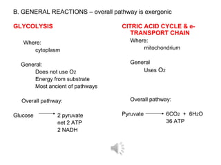B. GENERAL REACTIONS – overall pathway is exergonic

GLYCOLYSIS                        CITRIC ACID CYCLE & e-
                                     TRANSPORT CHAIN
   Where:                            Where:
      cytoplasm                          mitochondrium


  General:                           General
       Does not use O2                   Uses O2
       Energy from substrate
       Most ancient of pathways

  Overall pathway:                   Overall pathway:

Glucose         2 pyruvate        Pyruvate         6CO2 + 6H2O
                net 2 ATP                          36 ATP
                2 NADH
 