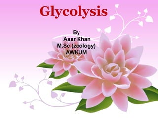 Glycolysis
By
Asar Khan
M.Sc (zoology)
AWKUM
 