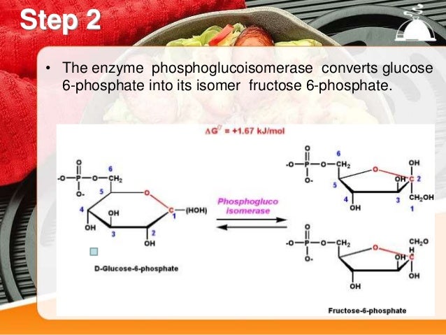 glycolysis 10 steps by asar khan 10 steps of glycolysis