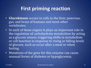 First priming reaction
• Glucokinase occurs in cells in the liver, pancreas,
gut, and brain of humans and most other
vertebrates.
• In each of these organs it plays an important role in
the regulation of carbohydrate metabolism by acting
as a glucose sensor, triggering shifts in metabolism
or cell function in response to rising or falling levels
of glucose, such as occur after a meal or when
fasting.
• Mutations of the gene for this enzyme can cause
unusual forms of diabetes or hypoglycemia.
1/7/2014

Biochemistry for medics

12

 