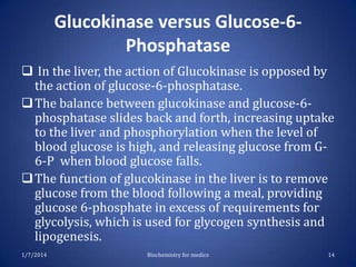 Glucokinase versus Glucose-6Phosphatase
 In the liver, the action of Glucokinase is opposed by
the action of glucose-6-phosphatase.
 The balance between glucokinase and glucose-6phosphatase slides back and forth, increasing uptake
to the liver and phosphorylation when the level of
blood glucose is high, and releasing glucose from G6-P when blood glucose falls.
 The function of glucokinase in the liver is to remove
glucose from the blood following a meal, providing
glucose 6-phosphate in excess of requirements for
glycolysis, which is used for glycogen synthesis and
lipogenesis.
1/7/2014

Biochemistry for medics

14

 