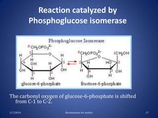 Reaction catalyzed by
Phosphoglucose isomerase

The carbonyl oxygen of glucose-6-phosphate is shifted
from C-1 to C-2.
1/7/2014

Biochemistry for medics

17

 