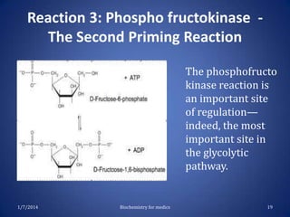 Reaction 3: Phospho fructokinase The Second Priming Reaction
The phosphofructo
kinase reaction is
an important site
of regulation—
indeed, the most
important site in
the glycolytic
pathway.

1/7/2014

Biochemistry for medics

19

 