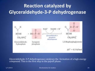 Reaction catalyzed by
Glyceraldehyde-3-P dehydrogenase

Glyceraldehyde-3-P dehydrogenase catalyzes the formation of a high energy
compound. This is the first step in the payoff phase.
1/7/2014

Biochemistry for medics

24

 