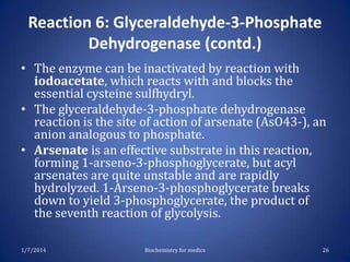 Reaction 6: Glyceraldehyde-3-Phosphate
Dehydrogenase (contd.)
• The enzyme can be inactivated by reaction with
iodoacetate, which reacts with and blocks the
essential cysteine sulfhydryl.
• The glyceraldehyde-3-phosphate dehydrogenase
reaction is the site of action of arsenate (AsO43-), an
anion analogous to phosphate.
• Arsenate is an effective substrate in this reaction,
forming 1-arseno-3-phosphoglycerate, but acyl
arsenates are quite unstable and are rapidly
hydrolyzed. 1-Arseno-3-phosphoglycerate breaks
down to yield 3-phosphoglycerate, the product of
the seventh reaction of glycolysis.
1/7/2014

Biochemistry for medics

26

 