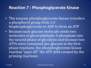 Reaction 7 : Phosphoglycerate Kinase
• The enzyme phosphoglycerate kinase transfers
a phosphoryl group from 1,3bisphosphoglycerate to ADP to form an ATP
• Because each glucose molecule sends two
molecules of glyceraldehyde-3-phosphate into
the second phase of glycolysis and because two
ATPs were consumed per glucose in the firstphase reactions, the phosphoglycerate kinase
reaction “pays off” the ATP debt created by the
priming reactions.
1/7/2014

Biochemistry for medics

27

 