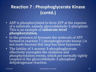 Reaction 7 : Phosphoglycerate Kinase
(contd.)
• ADP is phosphorylated to form ATP at the expense
of a substrate, namely, glyceraldehyde-3-phosphate.
This is an example of substrate-level
phosphorylation.
• In the presence of Arsenate the molecule of ATP
formed in reaction 7 ( phosphoglycerate kinase ) is
not made because this step has been bypassed.
• The lability of 1-arseno-3-phosphoglycerate
effectively uncouples the oxidation and
phosphorylation events, which are normally tightly
coupled in the glyceraldehyde-3-phosphate
dehydrogenase reaction.
1/7/2014

Biochemistry for medics

29

 