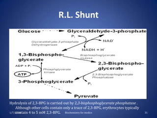 R.L. Shunt

Hydrolysis of 2,3-BPG is carried out by 2,3-bisphosphoglycerate phosphatase .
Although other cells contain only a trace of 2,3-BPG, erythrocytes typically
1/7/2014
contain 4 to 5 mM 2,3-BPG. Biochemistry for medics

31

 