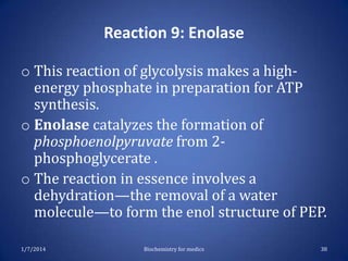 Reaction 9: Enolase
o This reaction of glycolysis makes a highenergy phosphate in preparation for ATP
synthesis.
o Enolase catalyzes the formation of
phosphoenolpyruvate from 2phosphoglycerate .
o The reaction in essence involves a
dehydration—the removal of a water
molecule—to form the enol structure of PEP.
1/7/2014

Biochemistry for medics

38

 