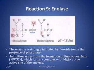 Reaction 9: Enolase

• The enzyme is strongly inhibited by fluoride ion in the
presence of phosphate.
• Inhibition arises from the formation of fluorophosphate
(FPO32-), which forms a complex with Mg2+ at the
active site of the enzyme.
1/7/2014

Biochemistry for medics

39

 