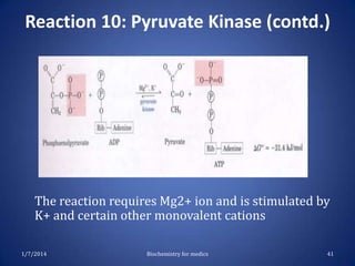 Reaction 10: Pyruvate Kinase (contd.)

The reaction requires Mg2+ ion and is stimulated by
K+ and certain other monovalent cations
1/7/2014

Biochemistry for medics

41

 