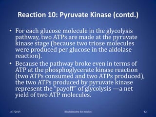 Reaction 10: Pyruvate Kinase (contd.)
• For each glucose molecule in the glycolysis
pathway, two ATPs are made at the pyruvate
kinase stage (because two triose molecules
were produced per glucose in the aldolase
reaction).
• Because the pathway broke even in terms of
ATP at the phosphoglycerate kinase reaction
(two ATPs consumed and two ATPs produced),
the two ATPs produced by pyruvate kinase
represent the “payoff” of glycolysis —a net
yield of two ATP molecules.
1/7/2014

Biochemistry for medics

42

 