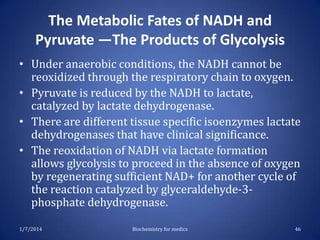 The Metabolic Fates of NADH and
Pyruvate —The Products of Glycolysis
• Under anaerobic conditions, the NADH cannot be
reoxidized through the respiratory chain to oxygen.
• Pyruvate is reduced by the NADH to lactate,
catalyzed by lactate dehydrogenase.
• There are different tissue specific isoenzymes lactate
dehydrogenases that have clinical significance.
• The reoxidation of NADH via lactate formation
allows glycolysis to proceed in the absence of oxygen
by regenerating sufficient NAD+ for another cycle of
the reaction catalyzed by glyceraldehyde-3phosphate dehydrogenase.
1/7/2014

Biochemistry for medics

46

 