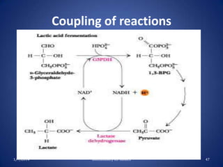 Coupling of reactions

1/7/2014

Biochemistry for medics

47

 