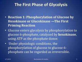 The First Phase of Glycolysis
• Reaction 1: Phosphorylation of Glucose by
Hexokinase or Glucokinase —The First
Priming Reaction
• Glucose enters glycolysis by phosphorylation to
glucose 6-phosphate, catalyzed by hexokinase,
using ATP as the phosphate donor.
• Under physiologic conditions, the
phosphorylation of glucose to glucose 6phosphate can be regarded as irreversible.
1/7/2014

Biochemistry for medics

5

 