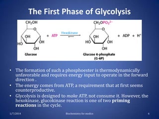 The First Phase of Glycolysis

• The formation of such a phosphoester is thermodynamically
unfavorable and requires energy input to operate in the forward
direction .
• The energy comes from ATP, a requirement that at first seems
counterproductive.
• Glycolysis is designed to make ATP, not consume it. However, the
hexokinase, glucokinase reaction is one of two priming
reactions in the cycle.
1/7/2014

Biochemistry for medics

6

 