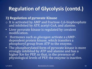 Regulation of Glycolysis (contd.)
3) Regulation of pyruvate Kinase
o It is activated by AMP and fructose-1,6-bisphosphate
and inhibited by ATP, acetyl-CoA, and alanine.
• Liver pyruvate kinase is regulated by covalent
modification.
• Hormones such as glucagon activate a cAMPdependent protein kinase, which transfers a
phosphoryl group from ATP to the enzyme.
• The phosphorylated form of pyruvate kinase is more
strongly inhibited by ATP and alanine and has a
higher Km for PEP, so that, in the presence of
physiological levels of PEP, the enzyme is inactive.
1/7/2014

Biochemistry for medics

60

 