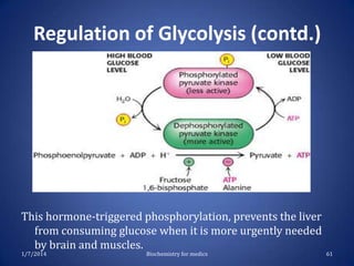 Regulation of Glycolysis (contd.)

This hormone-triggered phosphorylation, prevents the liver
from consuming glucose when it is more urgently needed
by brain and muscles.
1/7/2014

Biochemistry for medics

61

 