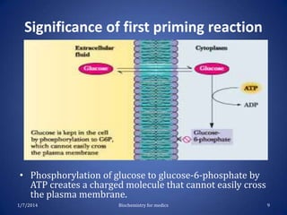 Significance of first priming reaction

• Phosphorylation of glucose to glucose-6-phosphate by
ATP creates a charged molecule that cannot easily cross
the plasma membrane.
1/7/2014

Biochemistry for medics

9

 