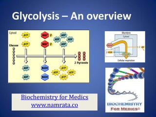 Glycolysis – An overview

Biochemistry for Medics
www.namrata.co

 