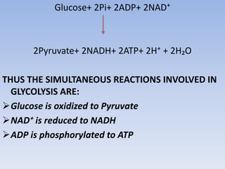 Glucose+ 2Pi+ 2ADP+ 2NAD⁺
2Pyruvate+ 2NADH+ 2ATP+ 2H⁺ + 2H₂O
THUS THE SIMULTANEOUS REACTIONS INVOLVED IN
GLYCOLYSIS ARE:
Glucose is oxidized to Pyruvate
NAD⁺ is reduced to NADH
ADP is phosphorylated to ATP
 