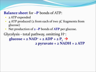Balance sheet for ~P bonds of ATP:
 2 ATP expended
 4 ATP produced (2 from each of two 3C fragments from
glucose)
 Net production of 2 ~P bonds of ATP per glucose.
Glycolysis - total pathway, omitting H+:
glucose + 2 NAD+ + 2 ADP + 2 Pi 
2 pyruvate + 2 NADH + 2 ATP
 