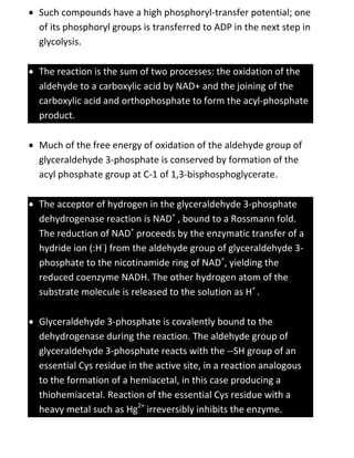  Such compounds have a high phosphoryl-transfer potential; one
of its phosphoryl groups is transferred to ADP in the next step in
glycolysis.
 The reaction is the sum of two processes: the oxidation of the
aldehyde to a carboxylic acid by NAD+ and the joining of the
carboxylic acid and orthophosphate to form the acyl-phosphate
product.
 Much of the free energy of oxidation of the aldehyde group of
glyceraldehyde 3-phosphate is conserved by formation of the
acyl phosphate group at C-1 of 1,3-bisphosphoglycerate.
 The acceptor of hydrogen in the glyceraldehyde 3-phosphate
dehydrogenase reaction is NAD+
, bound to a Rossmann fold.
The reduction of NAD+
proceeds by the enzymatic transfer of a
hydride ion (:H-
) from the aldehyde group of glyceraldehyde 3-
phosphate to the nicotinamide ring of NAD+
, yielding the
reduced coenzyme NADH. The other hydrogen atom of the
substrate molecule is released to the solution as H+
.
 Glyceraldehyde 3-phosphate is covalently bound to the
dehydrogenase during the reaction. The aldehyde group of
glyceraldehyde 3-phosphate reacts with the --SH group of an
essential Cys residue in the active site, in a reaction analogous
to the formation of a hemiacetal, in this case producing a
thiohemiacetal. Reaction of the essential Cys residue with a
heavy metal such as Hg2+
irreversibly inhibits the enzyme.
 