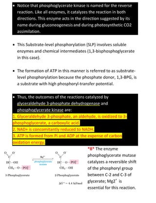  Notice that phosphoglycerate kinase is named for the reverse
reaction. Like all enzymes, it catalyzes the reaction in both
directions. This enzyme acts in the direction suggested by its
name during gluconeogenesisand during photosynthetic CO2
assimilation.
 This Substrate-level phosphorylation (SLP) involves soluble
enzymes and chemical intermediates (1,3-bisphosphoglycerate
in this case).
 The formation of ATP in this manner is referred to as substrate-
level phosphorylation because the phosphate donor, 1,3-BPG, is
a substrate with high phosphoryl-transfer potential.
 Thus, the outcomes of the reactions catalyzed by
glyceraldehyde 3-phosphate dehydrogenase and
phosphoglycerate kinase are:
1. Glyceraldehyde 3-phosphate, an aldehyde, is oxidized to 3-
phosphoglycerate, a carboxylic acid.
2. NAD+ is concomitantly reduced to NADH.
3. ATP is formed from Pi and ADP at the expense of carbon
oxidation energy.
*8* The enzyme
phosphoglycerate mutase
catalyzes a reversible shift
of the phosphoryl group
between C-2 and C-3 of
glycerate; Mg2+
is
essential for this reaction.
 