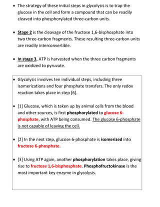  The strategy of these initial steps in glycolysis is to trap the
glucose in the cell and form a compound that can be readily
cleaved into phosphorylated three-carbon units.
 Stage 2 is the cleavage of the fructose 1,6-bisphosphate into
two three-carbon fragments. These resulting three-carbon units
are readily interconvertible.
 In stage 3, ATP is harvested when the three carbon fragments
are oxidized to pyruvate.
 Glycolysis involves ten individual steps, including three
isomerizations and four phosphate transfers. The only redox
reaction takes place in step [6].
 [1] Glucose, which is taken up by animal cells from the blood
and other sources, is first phosphorylated to glucose 6-
phosphate, with ATP being consumed. The glucose 6-phosphate
is not capable of leaving the cell.
 [2] In the next step, glucose 6-phosphate is isomerized into
fructose 6-phosphate.
 [3] Using ATP again, another phosphorylation takes place, giving
rise to fructose 1,6-bisphosphate. Phosphofructokinase is the
most important key enzyme in glycolysis.
 