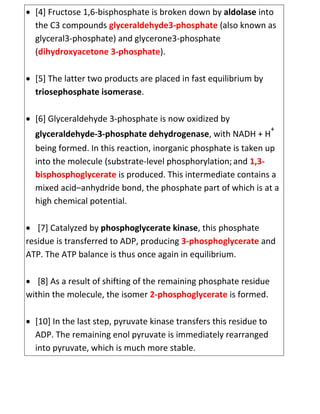  [4] Fructose 1,6-bisphosphate is broken down by aldolase into
the C3 compounds glyceraldehyde3-phosphate (also known as
glyceral3-phosphate) and glycerone3-phosphate
(dihydroxyacetone 3-phosphate).
 [5] The latter two products are placed in fast equilibrium by
triosephosphate isomerase.
 [6] Glyceraldehyde 3-phosphate is now oxidized by
glyceraldehyde-3-phosphate dehydrogenase, with NADH + H
+
being formed. In this reaction, inorganic phosphate is taken up
into the molecule (substrate-level phosphorylation;and 1,3-
bisphosphoglycerate is produced. This intermediate contains a
mixed acid–anhydride bond, the phosphate part of which is at a
high chemical potential.
 [7] Catalyzed by phosphoglycerate kinase, this phosphate
residue is transferred to ADP, producing 3-phosphoglycerate and
ATP. The ATP balance is thus once again in equilibrium.
 [8] As a result of shifting of the remaining phosphate residue
within the molecule, the isomer 2-phosphoglycerate is formed.
 [10] In the last step, pyruvate kinase transfers this residue to
ADP. The remaining enol pyruvate is immediately rearranged
into pyruvate, which is much more stable.
 