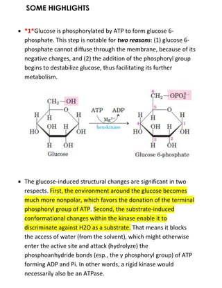 SOME HIGHLIGHTS
 *1*Glucose is phosphorylated by ATP to form glucose 6-
phosphate. This step is notable for two reasons: (1) glucose 6-
phosphate cannot diffuse through the membrane, because of its
negative charges, and (2) the addition of the phosphoryl group
begins to destabilize glucose, thus facilitating its further
metabolism.
 The glucose-induced structural changes are significant in two
respects. First, the environment around the glucose becomes
much more nonpolar, which favors the donation of the terminal
phosphoryl group of ATP. Second, the substrate-induced
conformational changes within the kinase enable it to
discriminate against H2O as a substrate. That means it blocks
the access of water (from the solvent), which might otherwise
enter the active site and attack (hydrolyze) the
phosphoanhydride bonds (esp., the γ phosphoryl group) of ATP
forming ADP and Pi. In other words, a rigid kinase would
necessarily also be an ATPase.
 