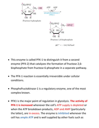  This enzyme is called PFK-1 to distinguish it from a second
enzyme (PFK-2) that catalyzes the formation of fructose 2,6-
bisphosphate from fructose 6-phosphate in a separate pathway.
 The PFK-1 reaction is essentially irreversible under cellular
conditions.
 Phosphofructokinase-1 is a regulatory enzyme, one of the most
complex known.
 PFK1 is the major point of regulation in glycolysis. The activity of
PFK-1 is increased whenever the cell’s ATP supply is depleted or
when the ATP breakdown products, ADP and AMP (particularly
the latter), are in excess. The enzyme is inhibited whenever the
cell has ample ATP and is well supplied by other fuels such as
 