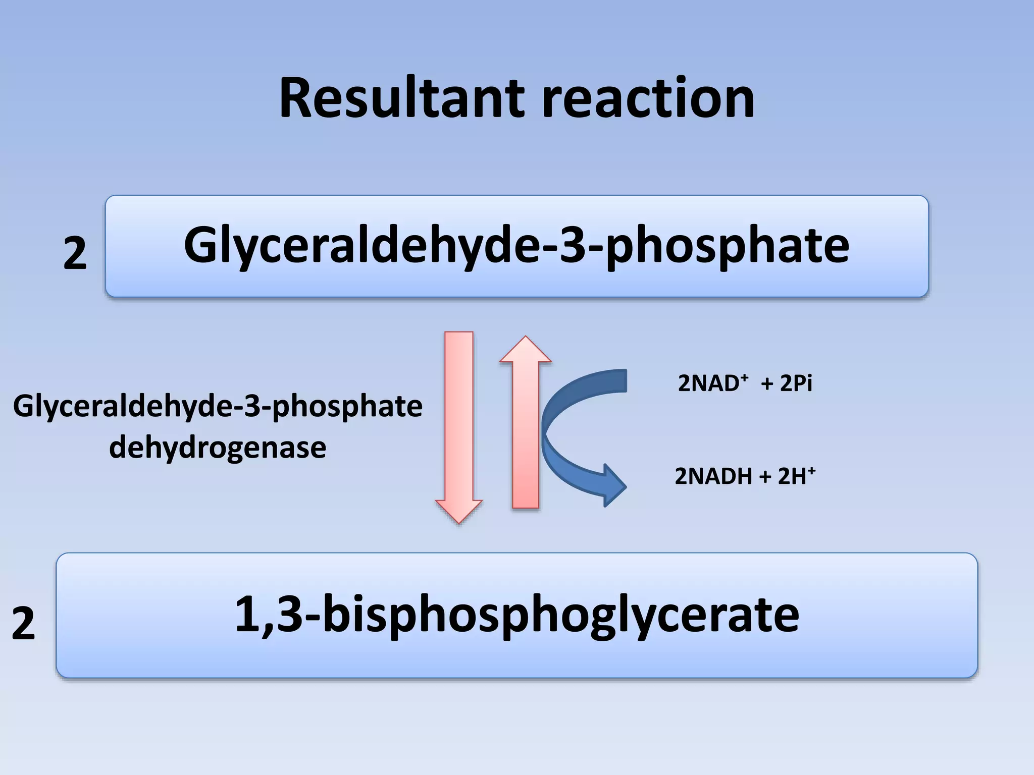 Glycolysis | PPTX