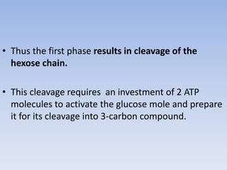 • Thus the first phase results in cleavage of the
hexose chain.
• This cleavage requires an investment of 2 ATP
molecules to activate the glucose mole and prepare
it for its cleavage into 3-carbon compound.
 