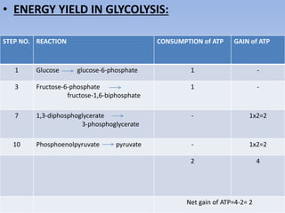 • ENERGY YIELD IN GLYCOLYSIS:
STEP NO. REACTION CONSUMPTION of ATP GAIN of ATP
1 Glucose glucose-6-phosphate 1 -
3 Fructose-6-phosphate
fructose-1,6-biphosphate
1 -
7 1,3-diphosphoglycerate
3-phosphoglycerate
- 1x2=2
10 Phosphoenolpyruvate pyruvate - 1x2=2
2 4
Net gain of ATP=4-2= 2
 