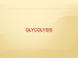 GLYCOLYSIS
 