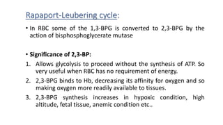 Rapaport-Leubering cycle:
• In RBC some of the 1,3-BPG is converted to 2,3-BPG by the
action of bisphosphoglycerate mutase
• Significance of 2,3-BP:
1. Allows glycolysis to proceed without the synthesis of ATP. So
very useful when RBC has no requirement of energy.
2. 2,3-BPG binds to Hb, decreasing its affinity for oxygen and so
making oxygen more readily available to tissues.
3. 2,3-BPG synthesis increases in hypoxic condition, high
altitude, fetal tissue, anemic condition etc..
 