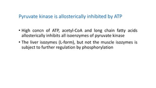Pyruvate kinase is allosterically inhibited by ATP
• High concn of ATP, acetyl-CoA and long chain fatty acids
allosterically inhibits all isoenzymes of pyruvate kinase
• The liver isozymes (L-form), but not the muscle isozymes is
subject to further regulation by phosphorylation
 