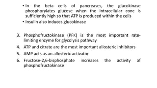 • In the beta cells of pancreases, the glucokinase
phosphorylates glucose when the intracellular conc is
sufficiently high so that ATP is produced within the cells
• Insulin also induces glucokinase
3. Phosphofructokinase (PFK) is the most important rate-
limiting enzyme for glycolysis pathway
4. ATP and citrate are the most important allosteric inhibitors
5. AMP acts as an allosteric activator
6. Fructose-2,6-bisphosphate increases the activity of
phosphofructokinase
 