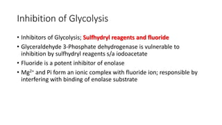 Inhibition of Glycolysis
• Inhibitors of Glycolysis; Sulfhydryl reagents and fluoride
• Glyceraldehyde 3-Phosphate dehydrogenase is vulnerable to
inhibition by sulfhydryl reagents s/a iodoacetate
• Fluoride is a potent inhibitor of enolase
• Mg2+ and Pi form an ionic complex with fluoride ion; responsible by
interfering with binding of enolase substrate
 