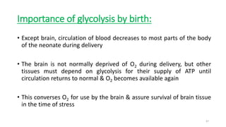 Importance of glycolysis by birth:
• Except brain, circulation of blood decreases to most parts of the body
of the neonate during delivery
• The brain is not normally deprived of O2 during delivery, but other
tissues must depend on glycolysis for their supply of ATP until
circulation returns to normal & O2 becomes available again
• This converses O2 for use by the brain & assure survival of brain tissue
in the time of stress
47
 