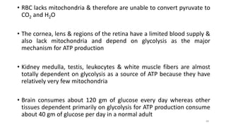 • RBC lacks mitochondria & therefore are unable to convert pyruvate to
CO2 and H2O
• The cornea, lens & regions of the retina have a limited blood supply &
also lack mitochondria and depend on glycolysis as the major
mechanism for ATP production
• Kidney medulla, testis, leukocytes & white muscle fibers are almost
totally dependent on glycolysis as a source of ATP because they have
relatively very few mitochondria
• Brain consumes about 120 gm of glucose every day whereas other
tissues dependent primarily on glycolysis for ATP production consume
about 40 gm of glucose per day in a normal adult
48
 