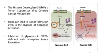 • The Histone Deacetylase SIRT6 Is a
Tumor Suppressor that Controls
Cancer Metabolism
• SIRT6 can lead to tumor formation
even in the absence of oncogene
activation
• Inhibition of glycolysis in SIRT6-
deficient cells abrogates tumor
formation
55
 