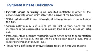 Pyruvate Kinase Deficiency
• Pyruvate kinase deficiency is an inherited metabolic disorder of the
enzyme pyruvate kinase which affects the survival of red blood cells
• With insufficient ATP in an erythrocyte, all active processes in the cell come
to a halt.
• Sodium potassium ATPase pumps are the first to stop. Since the cell
membrane is more permeable to potassium than sodium, potassium leaks
out.
• Intracellular fluid becomes hypotonic, water moves down its concentration
gradient out of the cell. The cell shrinks and cellular death occurs, this is
called 'dehydration at cellular level’.
• This is how a deficiency in pyruvate kinase results in hemolytic anaemia
58
 